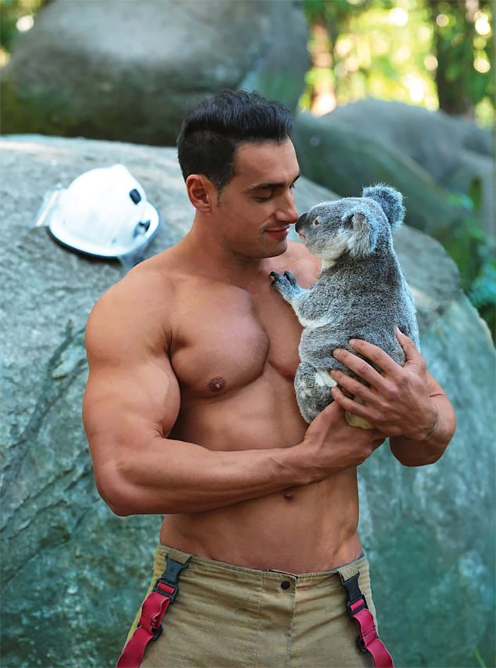 Australian Firefighters Pose With Cats For 2019 Charity 
