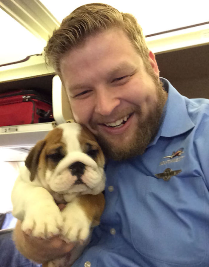 This Little Guy Was The Most Popular Passenger On The Plane Today. The Puppy, Not Me