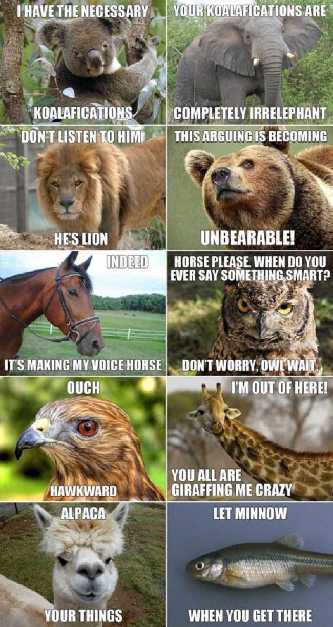 animal-puns