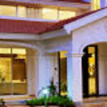 Profile picture of daisy